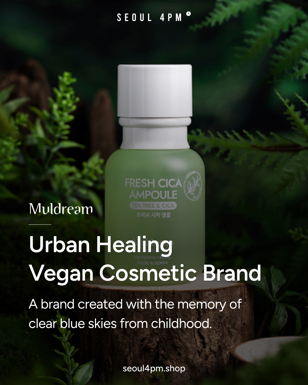 𝗠𝗨𝗟𝗗𝗥𝗘𝗔𝗠 : Urban Healing Vegan Cosmetic Brand